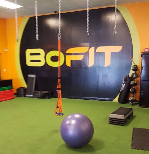 bofit-large-wall